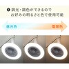 FFLC-S60VE LEDシーリングファン YAMAZEN(山善) 79799670