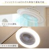 FFLC-60VE LEDシーリングファン YAMAZEN(山善) 19629027