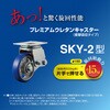 SKY-2S150APU-A-2 ՌzLX^[SKYV[Y(v~AE^B) [GCLX^[ 19723500