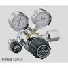 GHSS-3 19801408