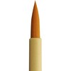 20006525