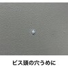 20036257