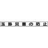 20053337