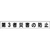 20053635
