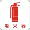 20053924