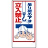 20059427