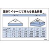 20060495