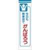 20060793