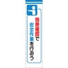 20060818