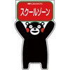 20061405