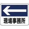 20074118