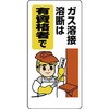 20094052