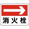 20094515