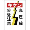 20096012