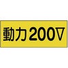 20096082