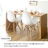 DT-1004R VvfXN 120/150 s40/60 72cm Visage Neo (rT[W lI) ~^P({쏊) 20104948