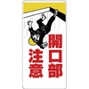20107203