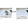 WillFECT-STAINREMOVER-1L EBtFNg XeC[o[ 1L(WiLLFECT STAIN REMOVER) B.PERFORM 20129290