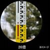 20129606