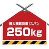 20152484