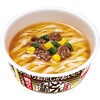 - 日清のあっさりおだしがおいしいどん兵衛 肉だしうどん 日清食品 20210149