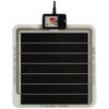 E53 plEH[}[ 16W WILD 20242751