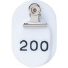 20395068