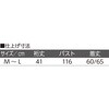 20617041,20617050,20617059