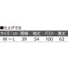 20617217,20617226,20617235,20617251