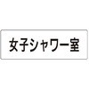RS1-21 �����\����(�X�ߎ��E�V�����[���֘A) ���j�b�g 20637225