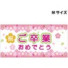 スチレンボードポップMサイズ グリーンクロス