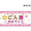 スチレンボードポップMサイズ グリーンクロス