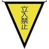 20735733