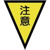 20735776