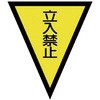 20735785