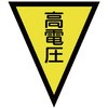 20735794