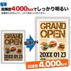 112330 ANt[LEDpl O[NX 20736040