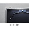 077302 LEDjtH[P[X LTCY  ʏAN O[NX 20737230