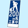 20738743