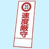 20738804