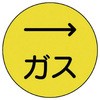 20740843