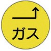 20740868