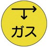 20740877