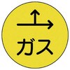 20740886