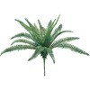 FG001988 フレア玉シダブッシュ MAGIQ(東京堂) 20745745