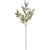 FG003396-015 k[F[JXv[ MAGIQ() 20745919