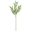 FG003396-024 k[F[JXv[ MAGIQ() 20745928