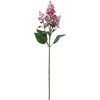 FM000669-050 JCbN MAGIQ() 20746978