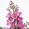 FM000669-050 JCbN MAGIQ() 20746978