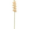 FM001108-006 uCgVrWE MAGIQ() 20747179
